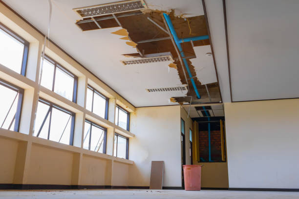 Best Water damage restoration near me  in Vinton, LA