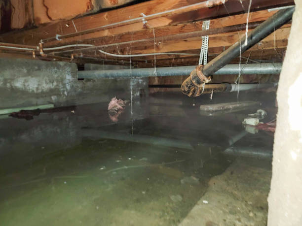  Vinton, LA Water damage restoration Pros