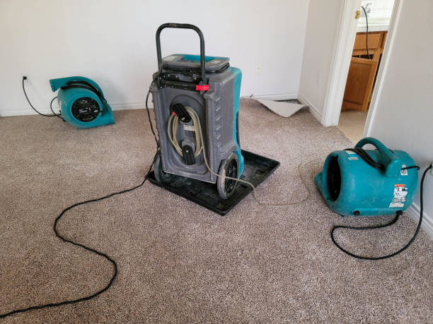 Best Water damage cleanup near me  in Vinton, LA