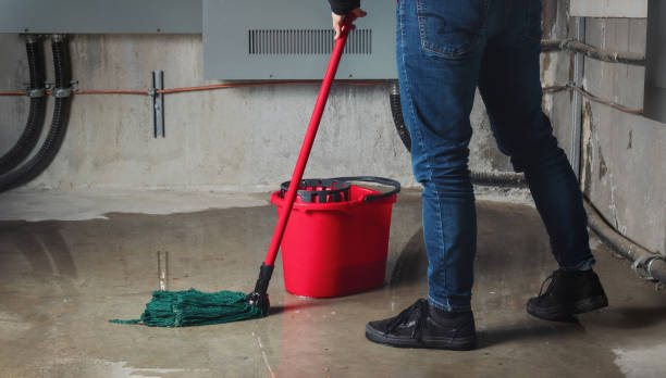 Best Fire Damage Restoration  in Vinton, LA