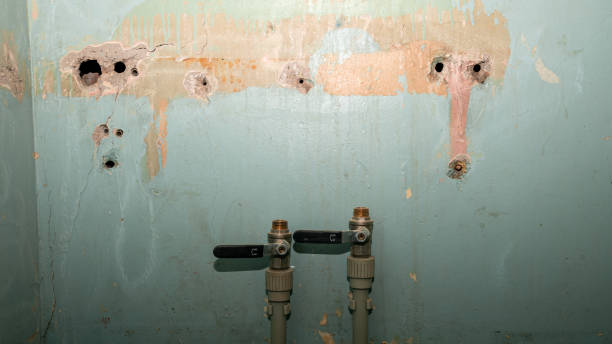 Best Water damage restoration near me  in Vinton, LA