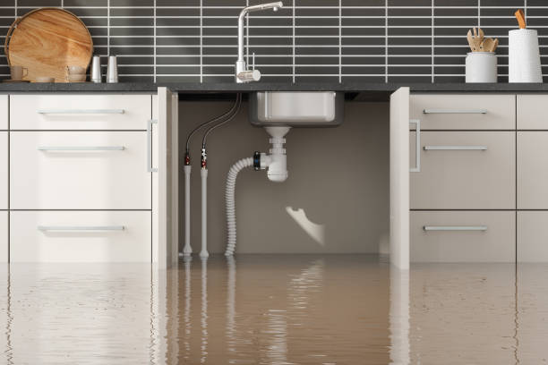 Best Residential water damage restoration  in Vinton, LA