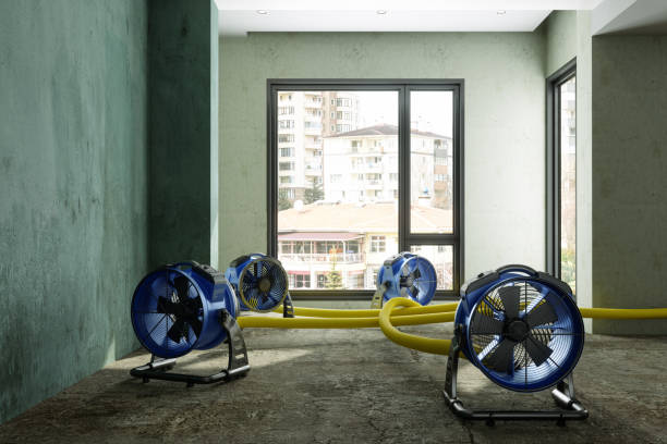 Best 24/7 water damage repair  in Vinton, LA