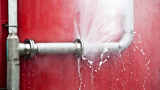 Best Flooded house restoration  in Vinton, LA