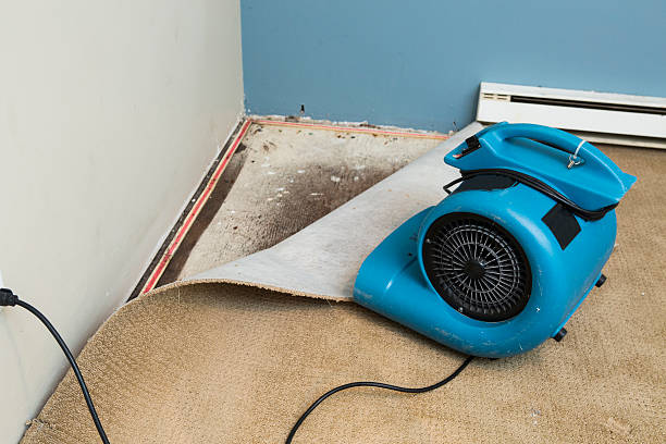 Best Water damage cleanup near me  in Vinton, LA